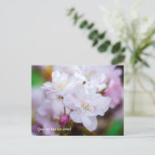 Carte postale de fleurs de cerisier blanc (Debout devant)