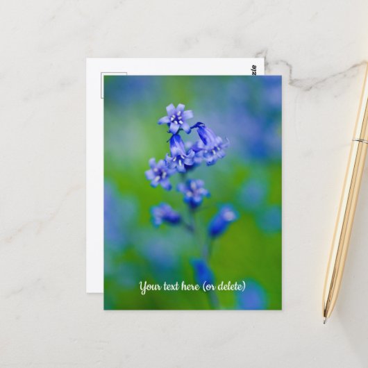 Carte postale de fleurs de jacinthe des bois (Devant/Arrière en situation)