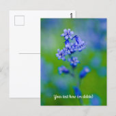 Carte postale de fleurs de jacinthe des bois (Devant / Derrière)