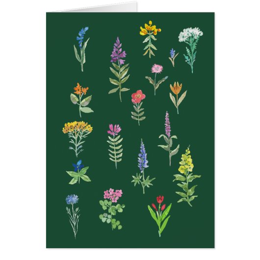 carte postale de fleurs de jardin (Devant)