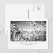 Carte postale de fleurs de poires (Devant / Derrière)