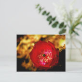carte postale de fleurs du désert (Debout devant)
