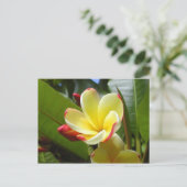 carte postale de fleurs jaunes (Debout devant)