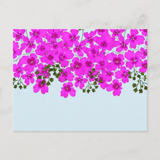 Carte postale de fleurs roses (Devant)