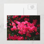 Carte postale de fleurs roses (Devant / Derrière)