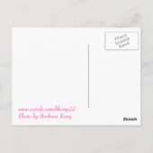 Carte postale de fleurs roses (Dos)