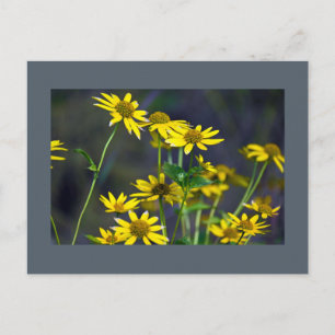 Carte postale de fleurs sauvages jaunes