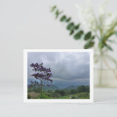 Carte postale de fleurs violettes (Debout devant)