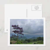 Carte postale de fleurs violettes (Devant / Derrière)