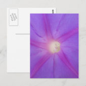 Carte postale de fleurs violettes (Devant / Derrière)