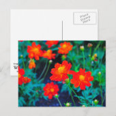 Carte postale de fleurs vives (Devant / Derrière)