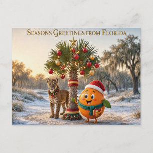 Carte postale de FLORIDE