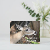 Carte postale de Floride (Debout devant)