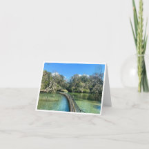 Carte postale de Floride 3