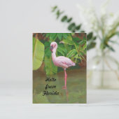 Carte postale de Floride avec Flamant rose rose (Debout devant)
