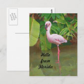 Carte postale de Floride avec Flamant rose rose (Devant / Derrière)
