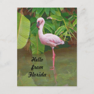Carte postale de Floride avec Flamant rose rose