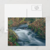 Carte postale de flux Dreamy (Devant / Derrière)