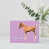 Carte postale de Foin Arabe (Debout devant)