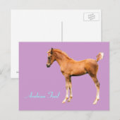 Carte postale de Foin Arabe (Devant / Derrière)