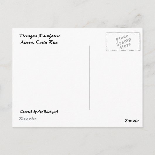 Carte postale de forêt tropicale et de cascade (Dos)