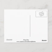 Carte postale de Fox gris (Dos)