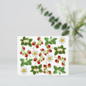 Carte postale de fraises (Debout devant)