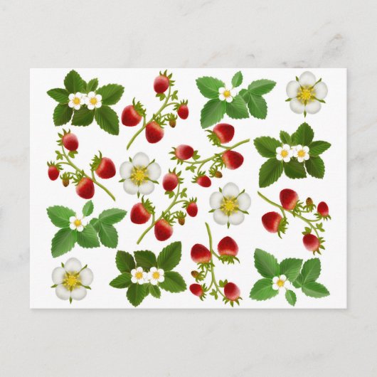 Carte postale de fraises (Devant)