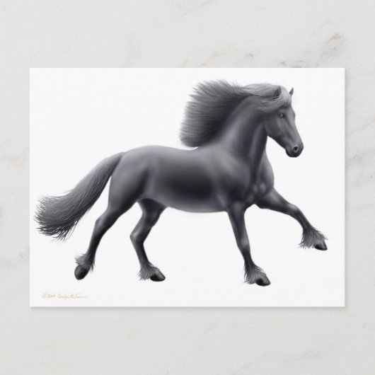 Carte postale de Frison courant librement (Devant)