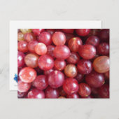 Carte postale de fruits de canneberge rouge (Devant / Derrière)