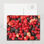 carte postale de fruits sauvages (Devant / Derrière)