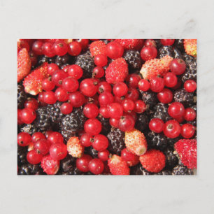 carte postale de fruits sauvages