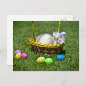 Carte postale de furet de Pâques (Devant / Derrière)