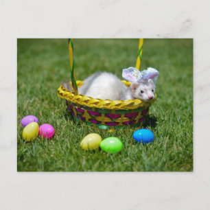 Carte postale de furet de Pâques