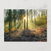 Carte postale de Furnace Valley (Devant)