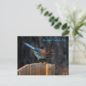 Carte postale de Garner Valley (Debout devant)