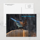 Carte postale de Garner Valley (Devant / Derrière)