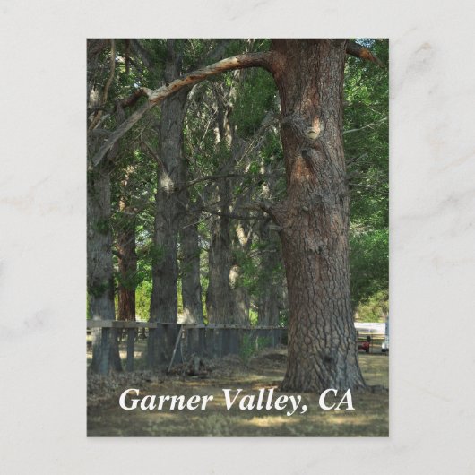 Carte postale de Garner Valley, CA (Devant)