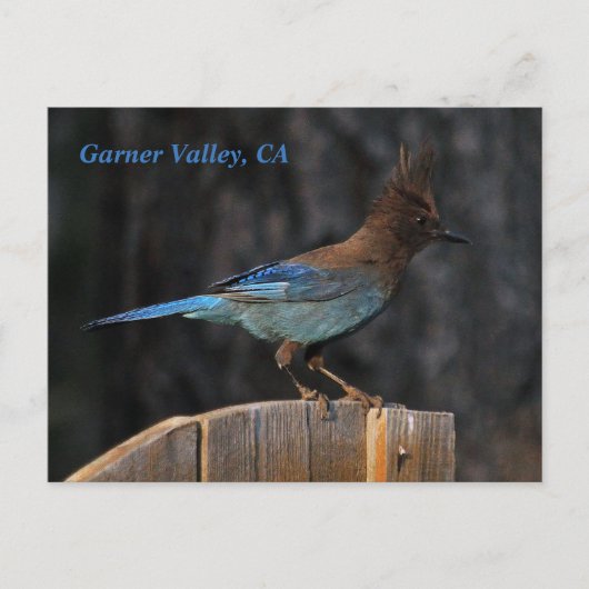 Carte postale de Garner Valley, CA (Devant)