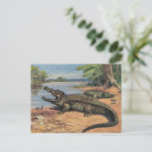 Carte postale de Gator Beach (Debout devant)