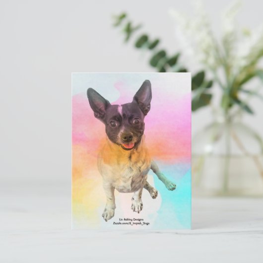 Carte postale de Gemma Disco (Debout devant)