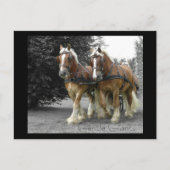 Carte postale de Gentle Giants (Devant)