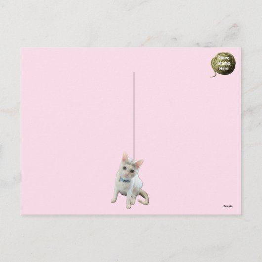 Carte postale de George le chat (Dos)