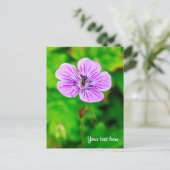 Carte postale de géranium pourpre (Debout devant)