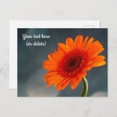 Carte postale de gerbera orange simple (Devant / Derrière)