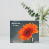 Carte postale de gerbera orange unique (Debout devant)
