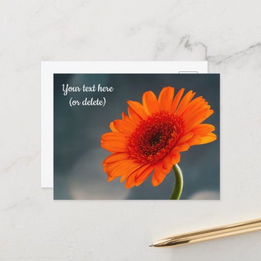 Carte postale de gerbera orange unique (Devant/Arrière en situation)