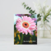 Carte postale de gerbera rose (Debout devant)
