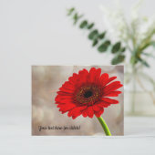 Carte postale de gerbera rouge (Debout devant)