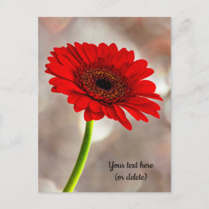 Carte postale de gerbera rouge unique